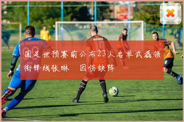 国足世预赛前公布23人名单武磊领衔锋线张琳芃因伤缺阵