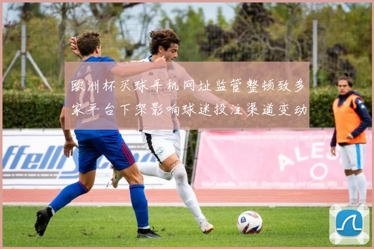 欧洲杯买球手机网址监管整顿致多家平台下架影响球迷投注渠道变动