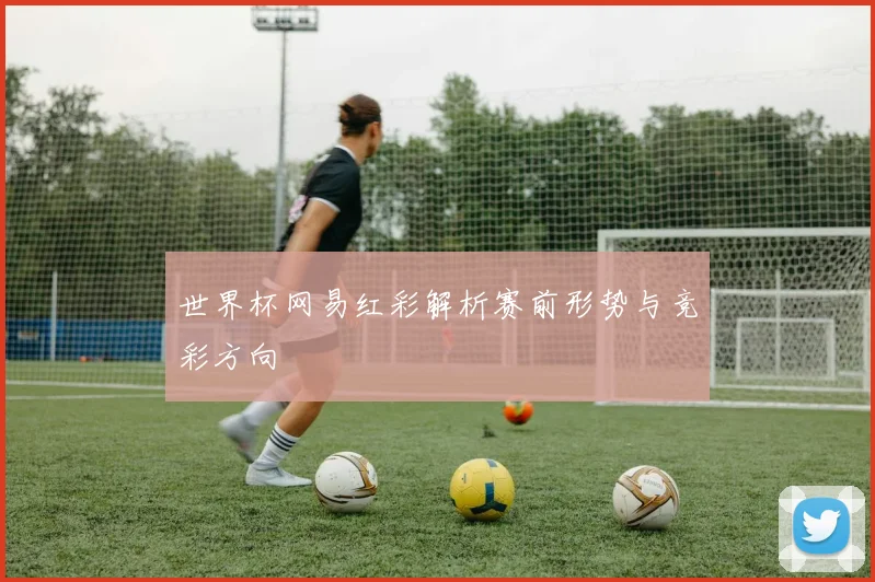世界杯网易红彩解析赛前形势与竞彩方向