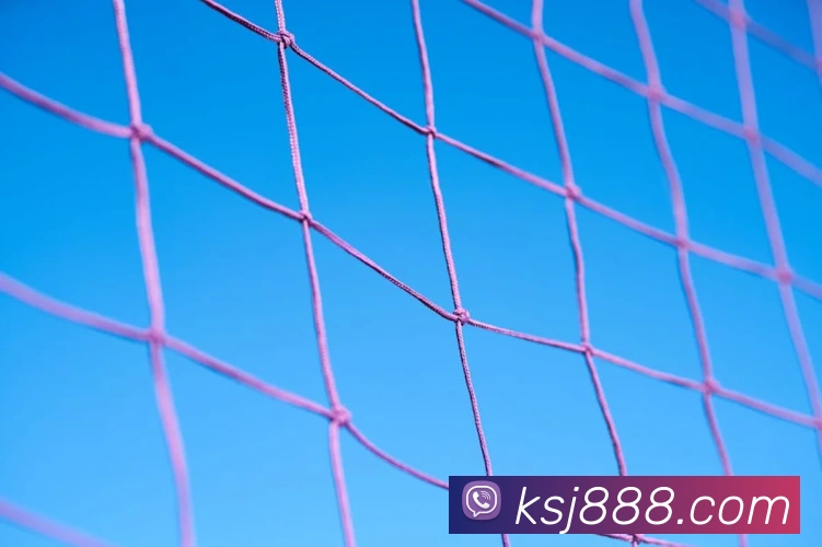 k体育官方下载APP 封面图